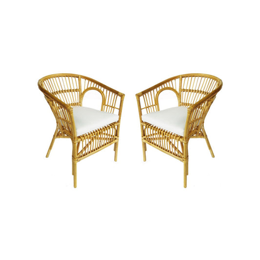 Rattan Kiko Chair investment