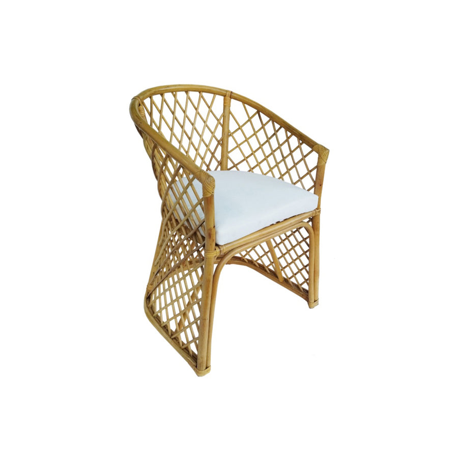 Rattan Palm Chair investment