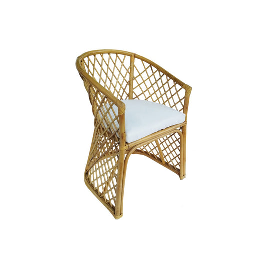 Rattan Palm Chair investment
